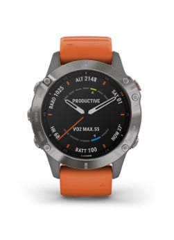 Garmin Fenix  smartwatch --