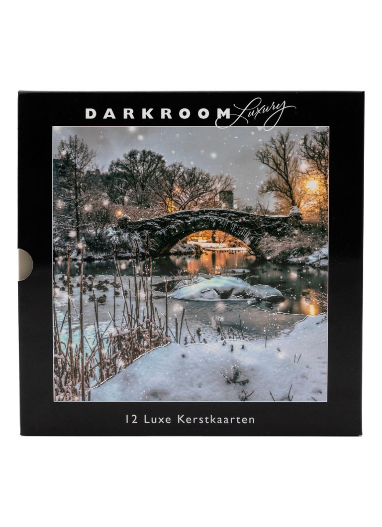 Art Group Darkroom Luxury, Eenden en Ganzen 2 designs kerstkaart
