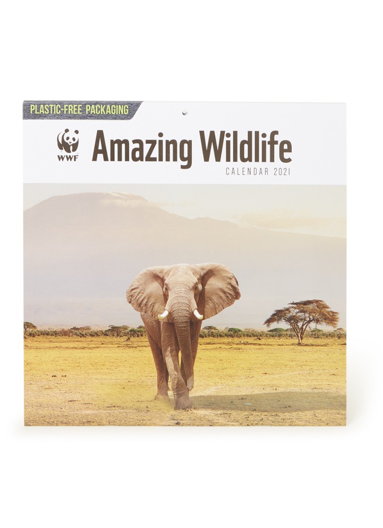 Carousel Calendars Wwf Amazing Wildlife Kalender 2021 Beige De Bijenkorf kalender wwf 2021