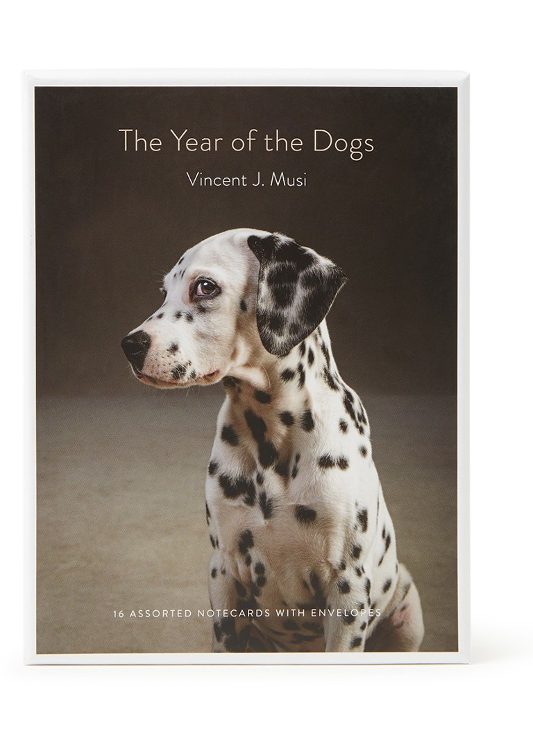 The Dog Year by Ann Wertz Garvin