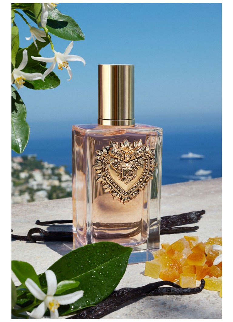 dolce gabbana parfum