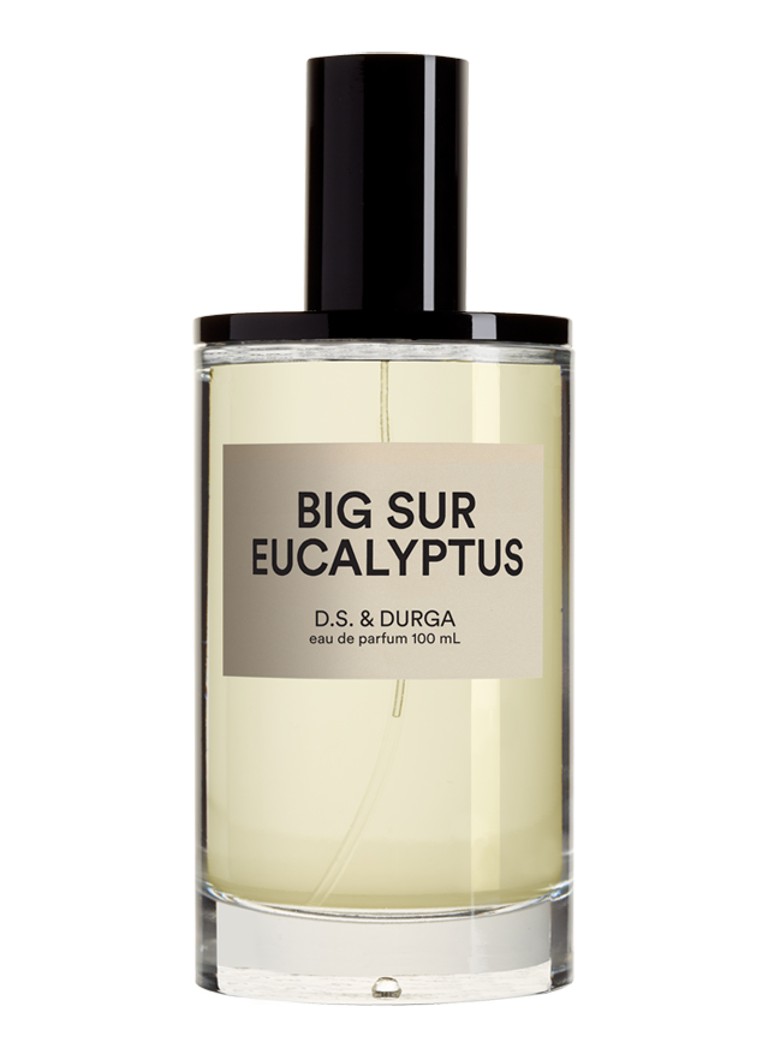 D.S. & Durga Big Sur Eucalyptus Eau De Parfum 100ML Geuren - Deal