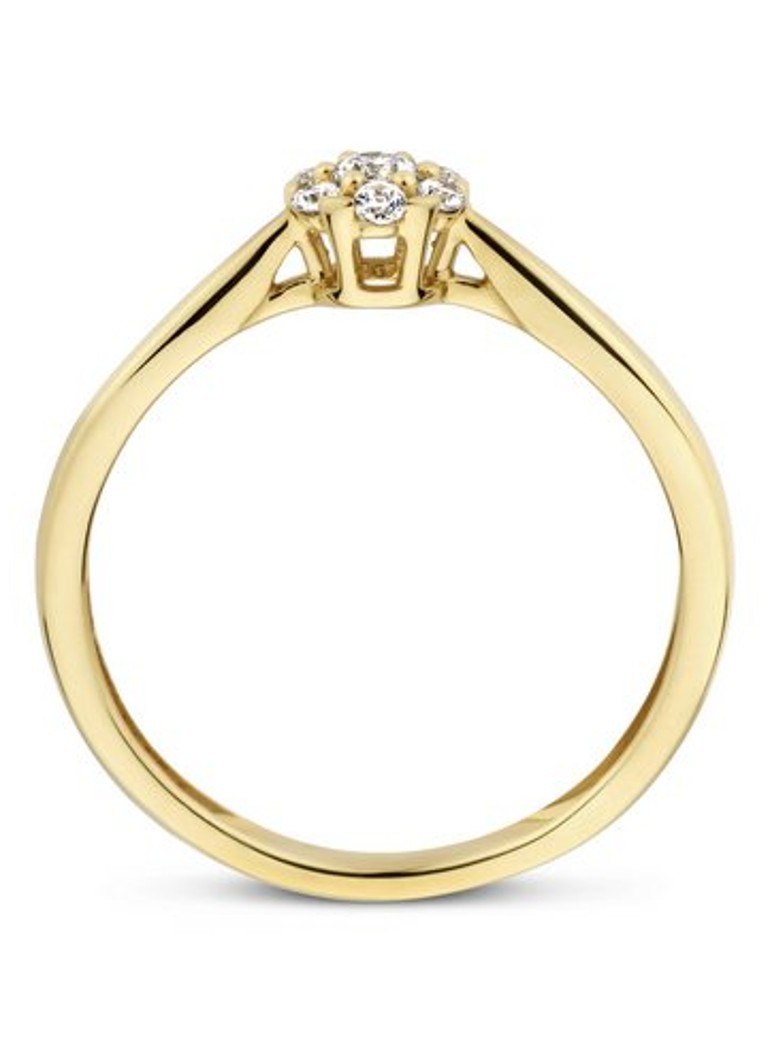 Blush Dames Ring van 14 karaat geelgoud met zirkonia 1248YZI in de kleur Geelgoud
