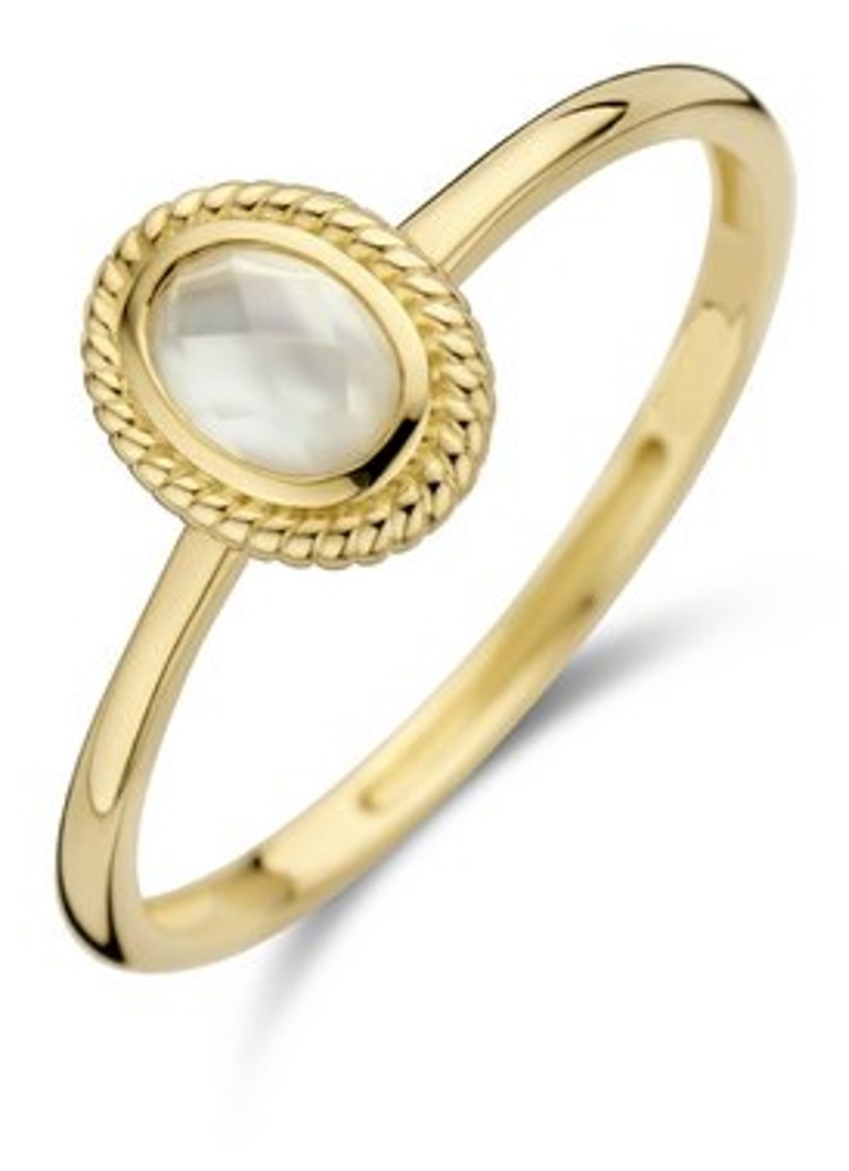 Blush Dames Ring van 14 karaat geelgoud met zoetwaterparel 1239YMQ in de kleur Geelgoud