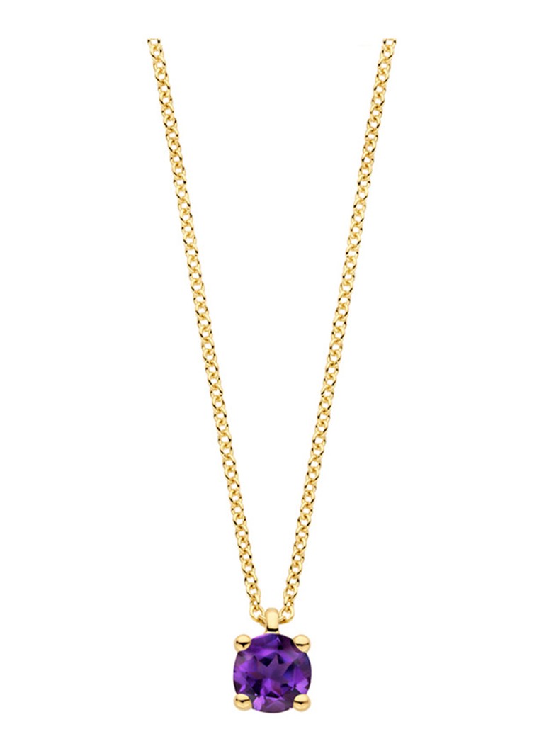 Blush Dames Ketting van 14 karaat geelgoud met amethist 3200YAM in de kleur Geelgoud