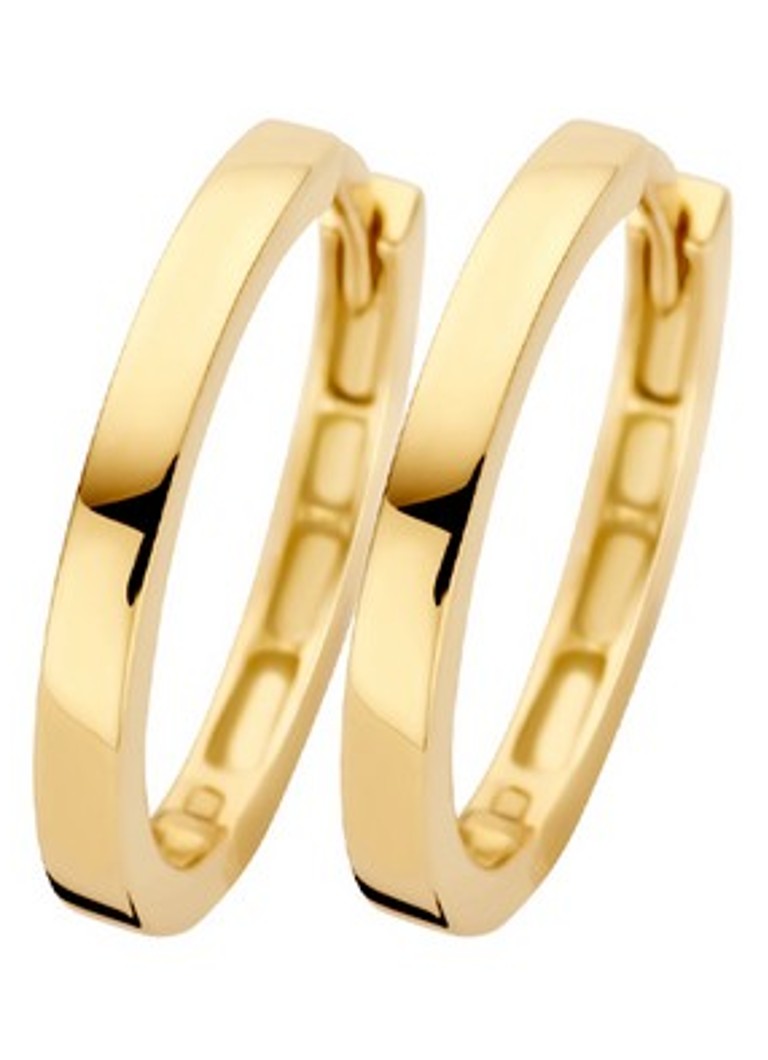 Blush Dames Oorringen van 14 karaat geelgoud 7308YGO in de kleur Goud