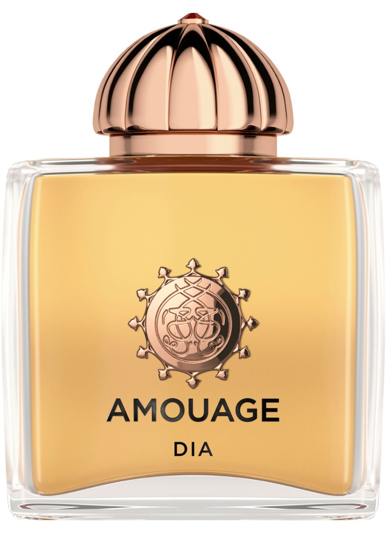 Amouage Dia Eau de Parfum 100ML Geuren - Deal