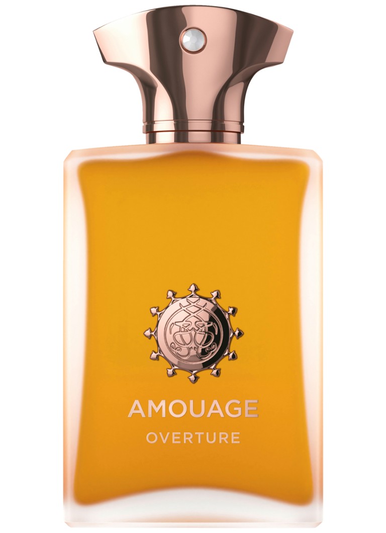 Amouage Overture men Eau De Parfum 100 ML Geuren - Deal