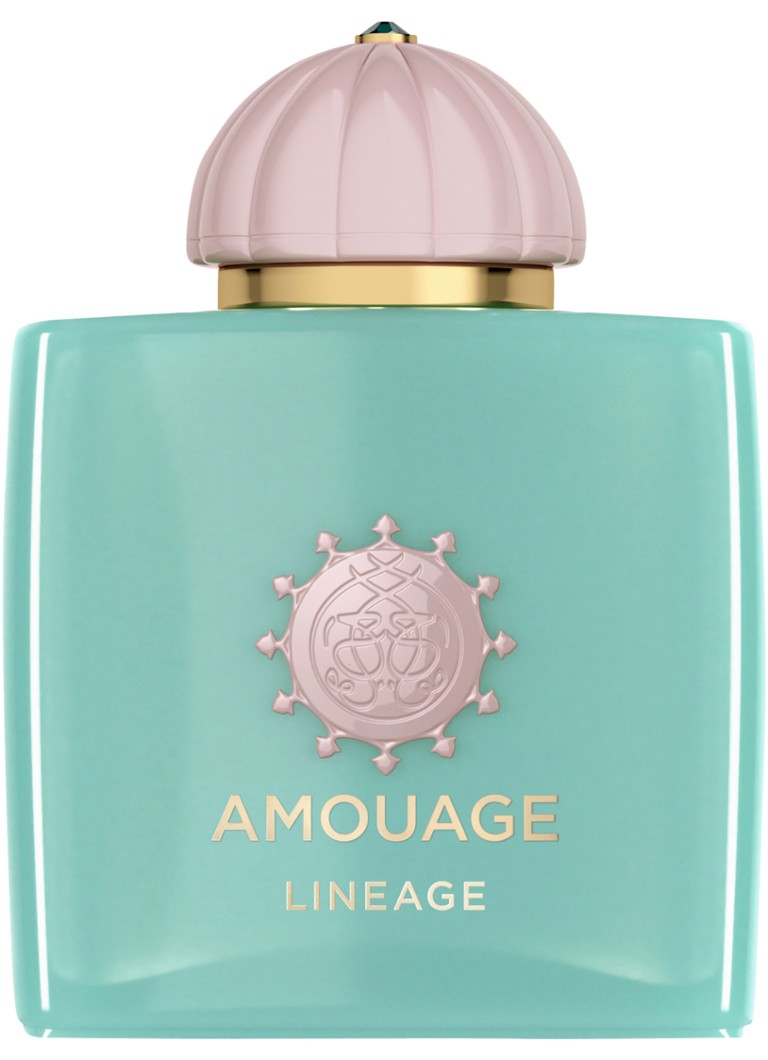 Amouage Lineage Woman Eau de Parfum 100 ml Geuren - Deal