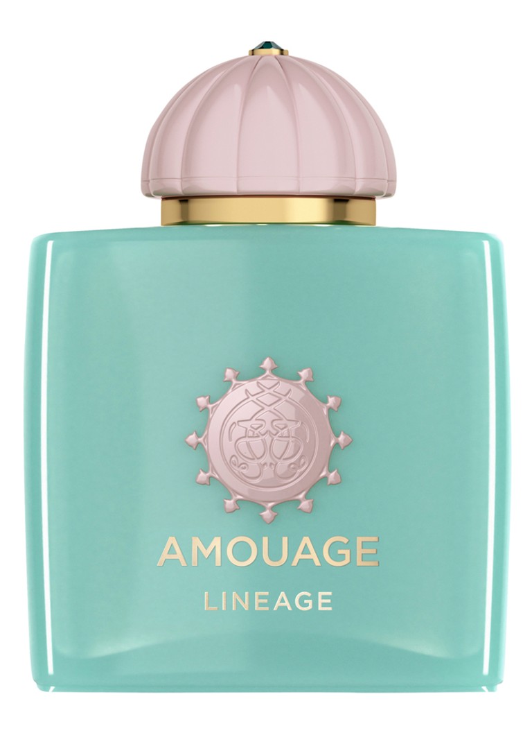Amouage Lineage Woman Eau de Parfum 100 ml Geuren - Deal