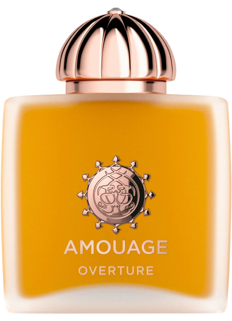 Amouage Overture Woman Eau de Parfum 100ml Geuren - Deal