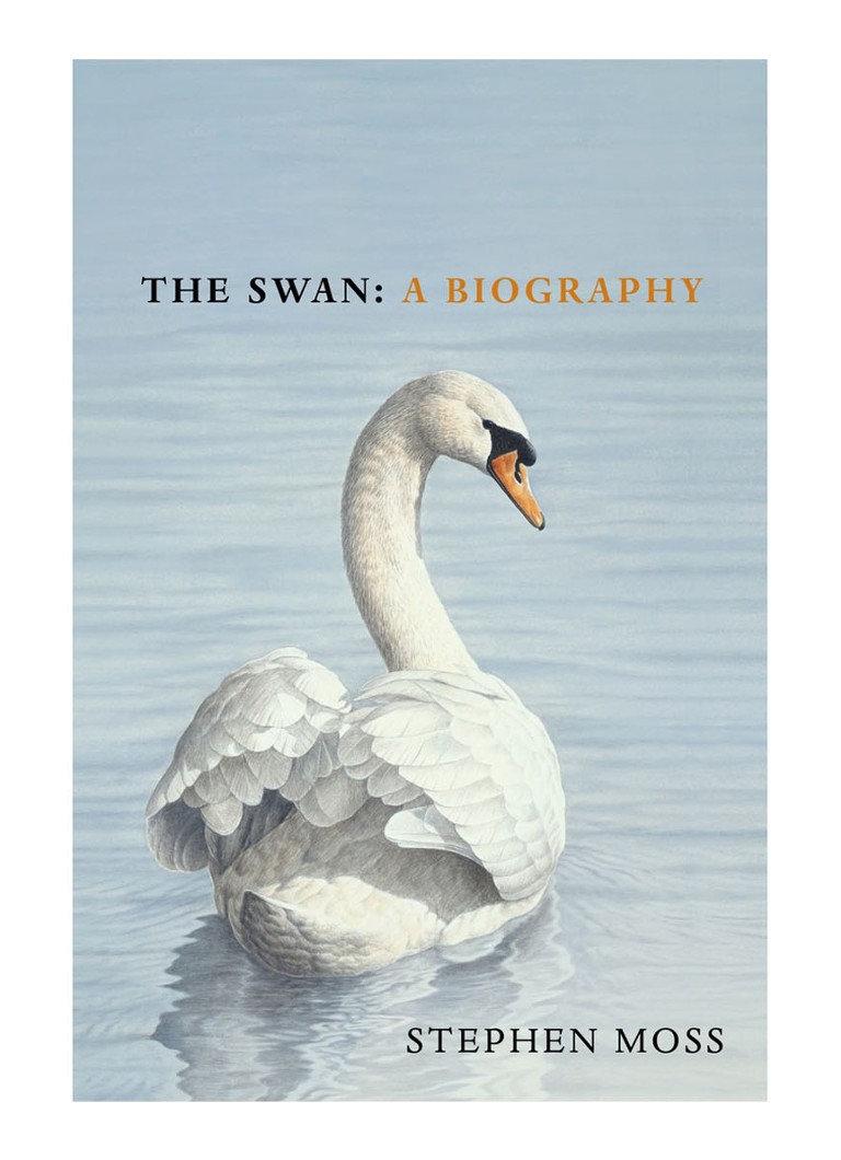 MOSS S THE SWAN - Deal