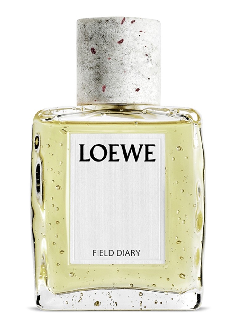 LOEWE Crafted Base Field Diary Eau de Parfum 100ml Geuren - Deal