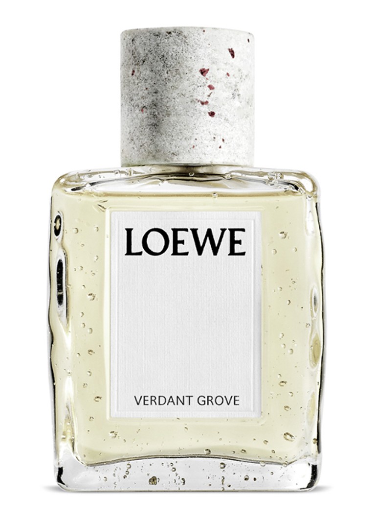 LOEWE Crafted Base Verdant Grove Eau de Parfum 100ml Geuren - Deal