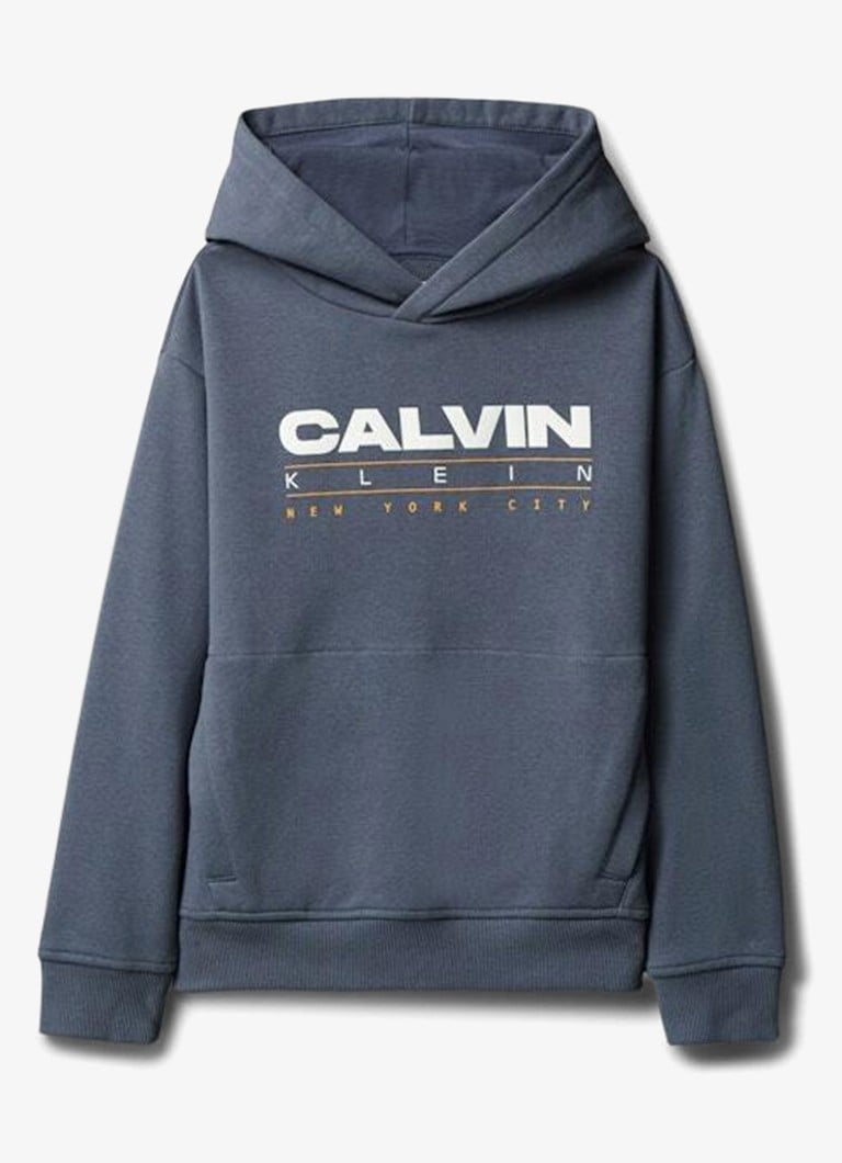 Calvin Klein Meisjes Hoodie met logo in de kleur Blauwgrijs