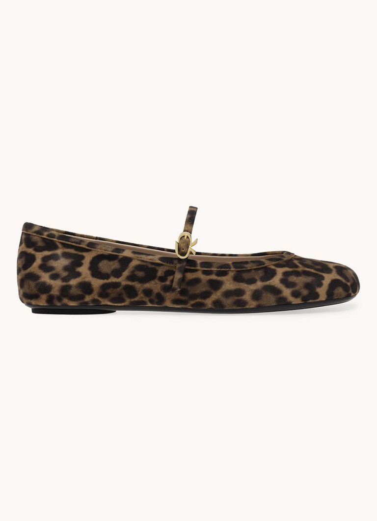 Gianvito Rossi Dames Carla ballerina van suède in de kleur Bruin
