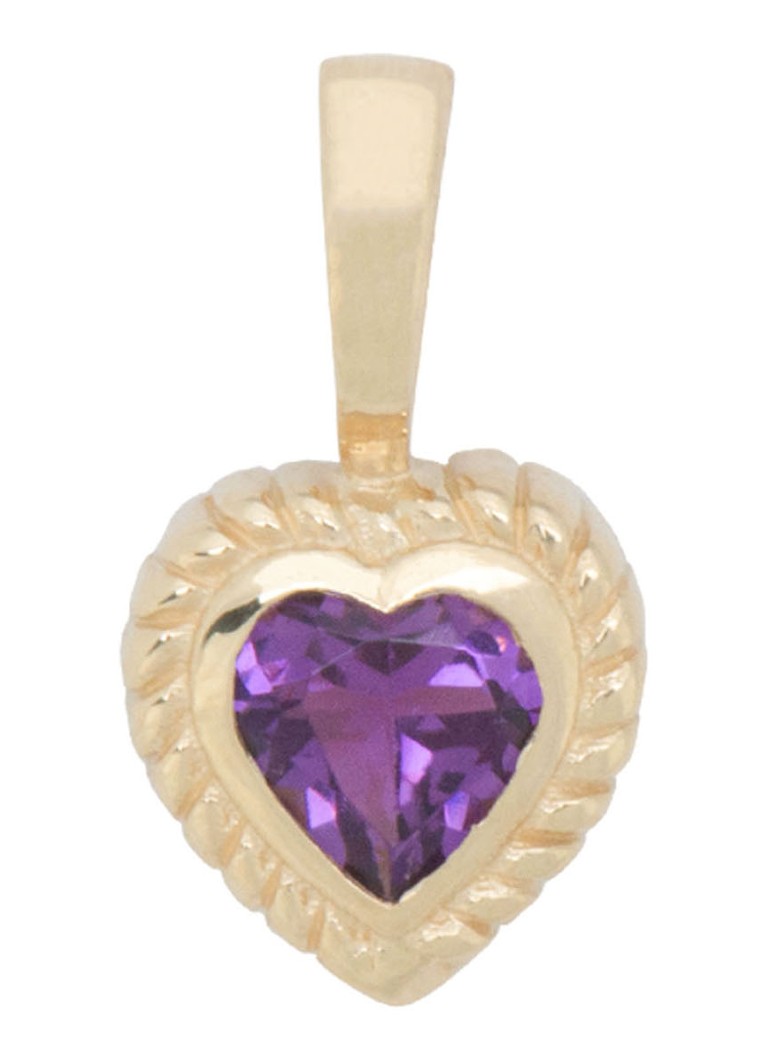 Anna + Nina Dames Heart hanger van 14 karaat geelgoud met amethist
