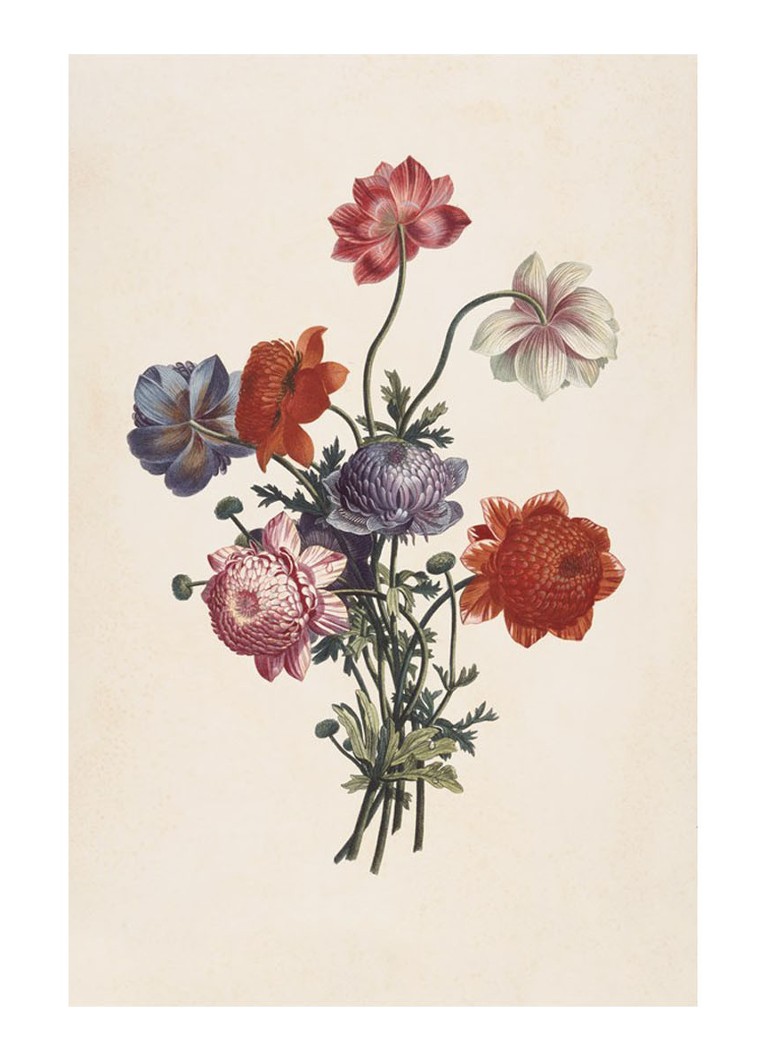 IXXI - Bouquet of Anemones wanddecoratie - Multicolor