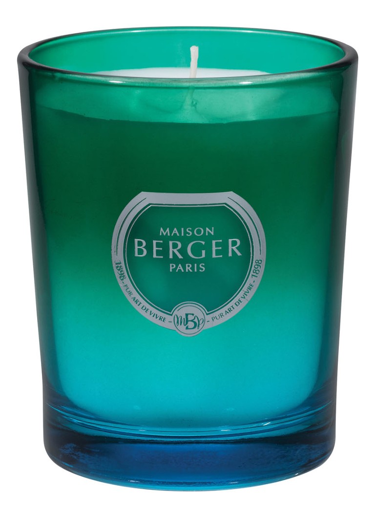Maison Berger - Dare Zeste de Verveine geurkaars 180 gram - Turquoise