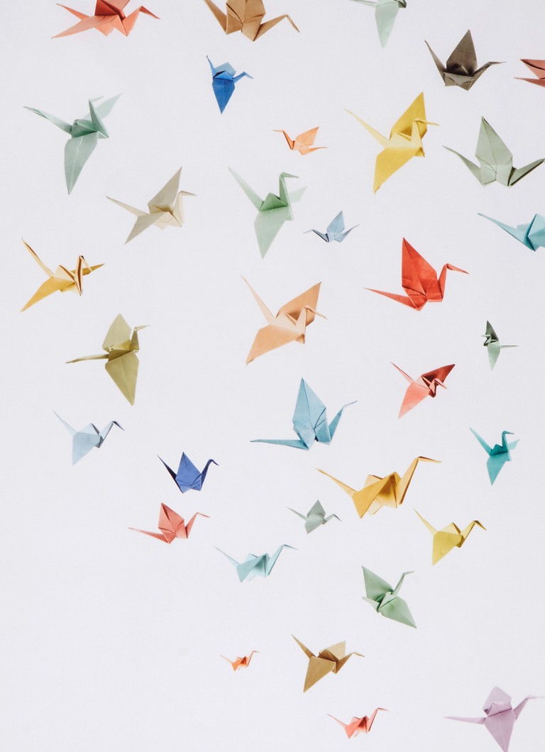 Praten tegen Fahrenheit Chronisch Snurk Crane birds katoen perkal dekbedovertrekset 160TC - inclusief  kussenslopen • Multicolor • de Bijenkorf
