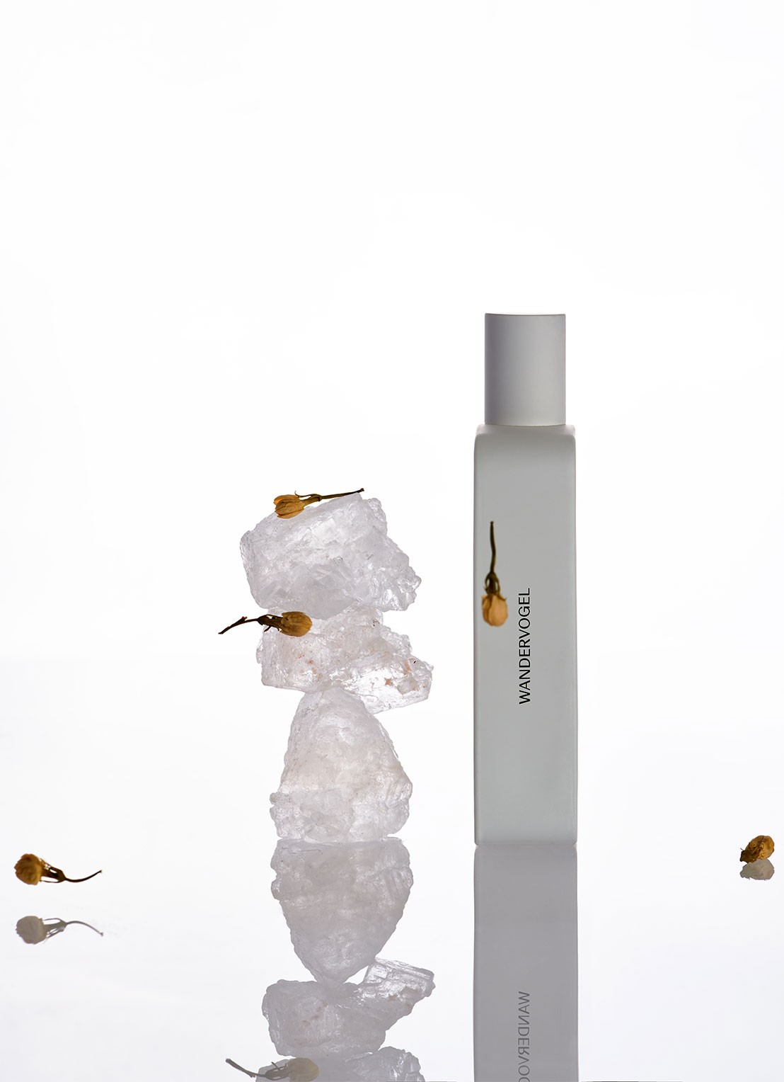 27 87 Wandervogel Eau De Parfum - detail 6 undefined