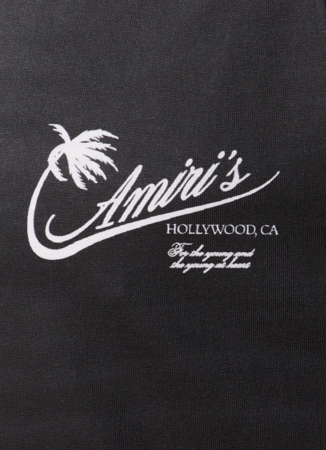 AMIRI Palm T-shirt met logo en print - detail 3 antraciet