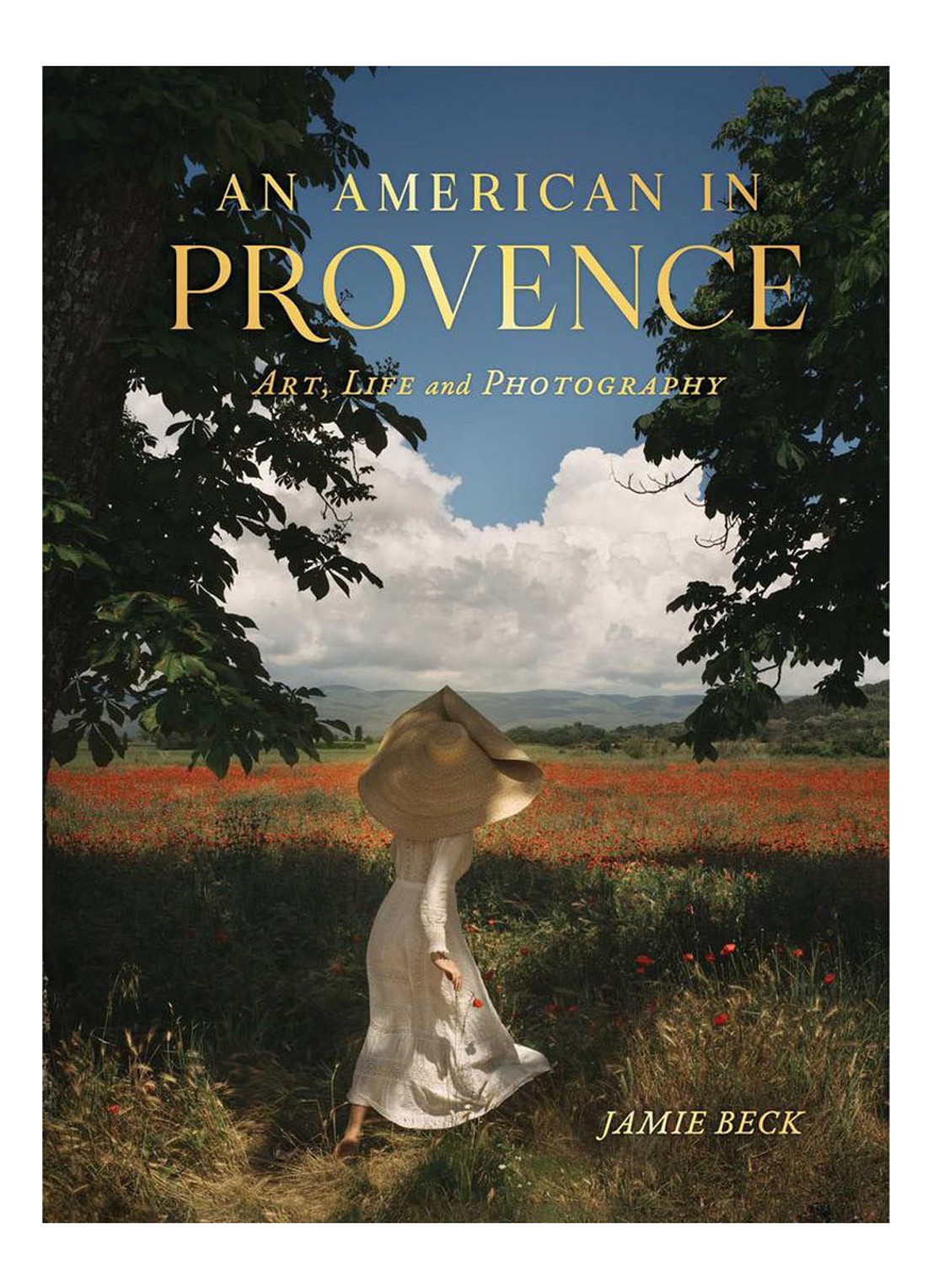 An American In Provence - voorkant undefined