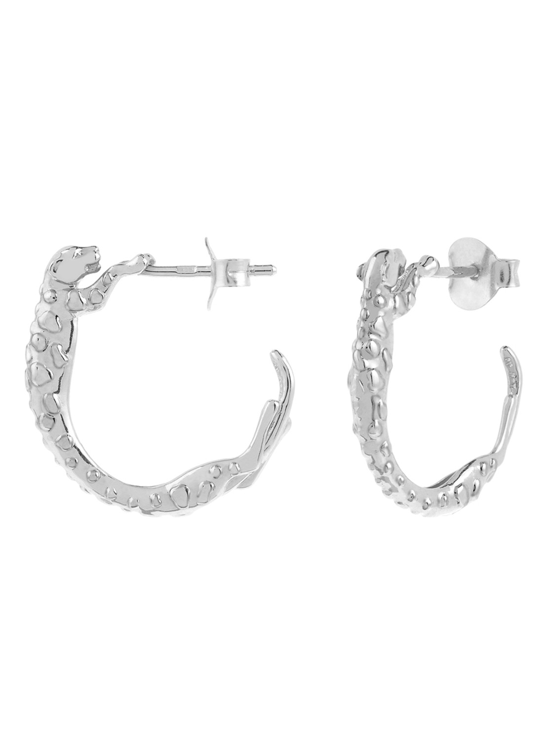Anna + Nina Small Wild Arc oorringen  - detail zilver