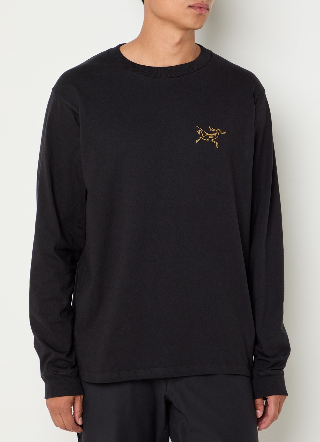Arc'teryx Kragg longsleeve met logo - detail zwart