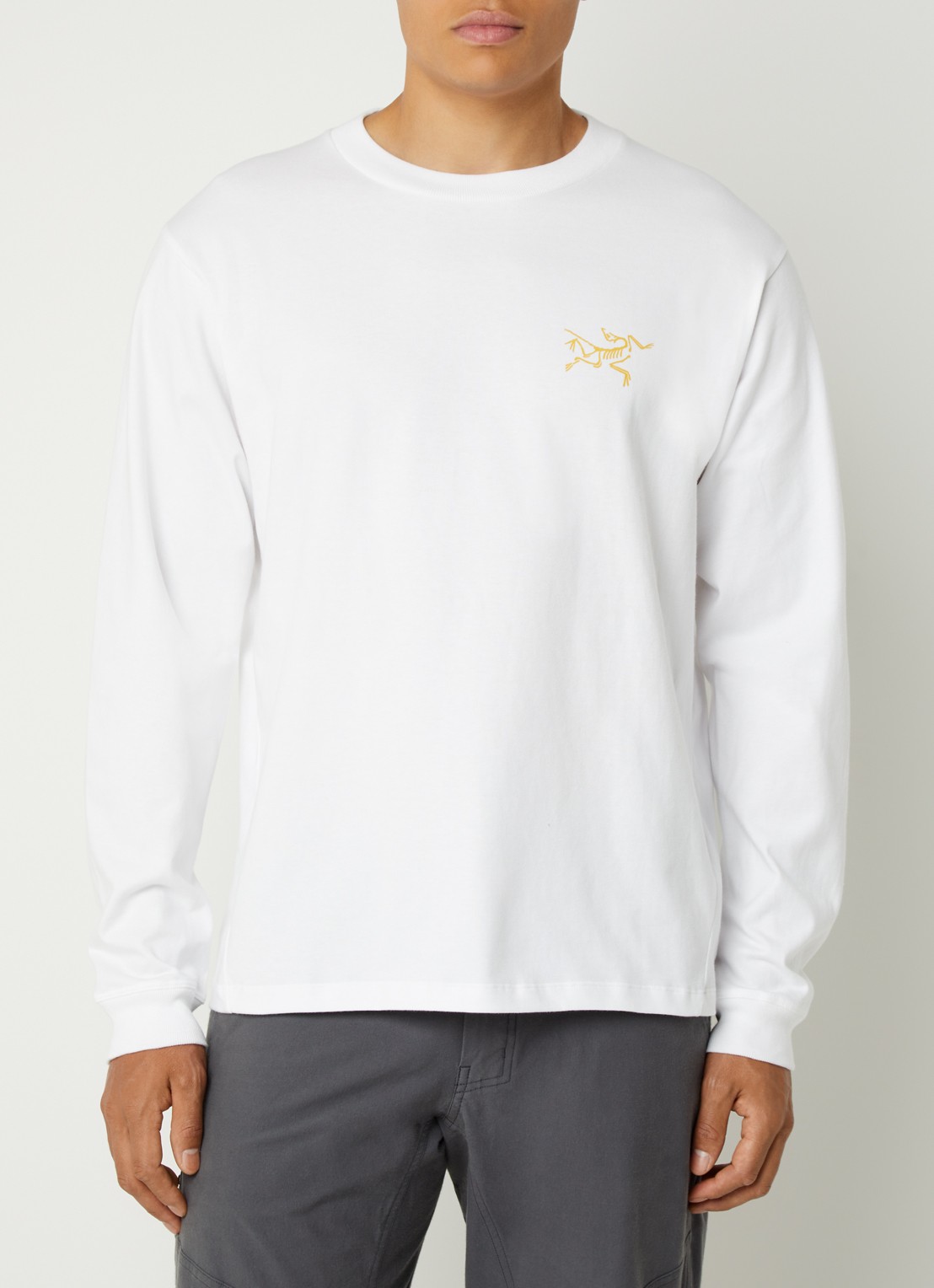 Arc'teryx Kragg longsleeve met logo - detail 4 gebroken wit