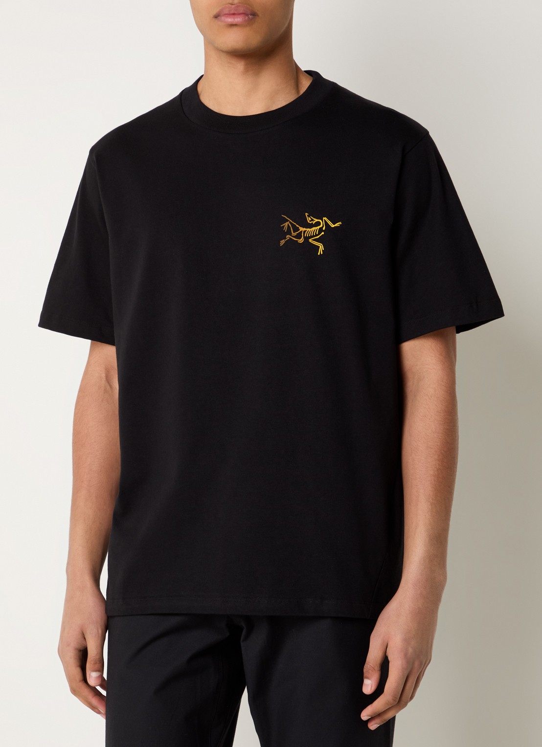 Arc'teryx Kragg T-shirt met logo- en backprint - achterkant 2 zwart