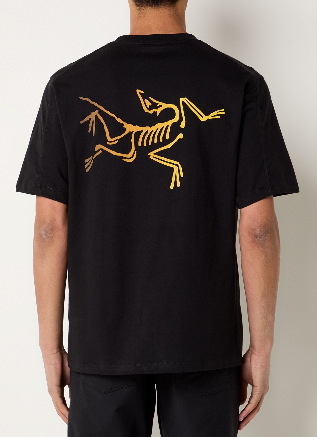 Arc'teryx Kragg T-shirt met logo- en backprint - detail zwart