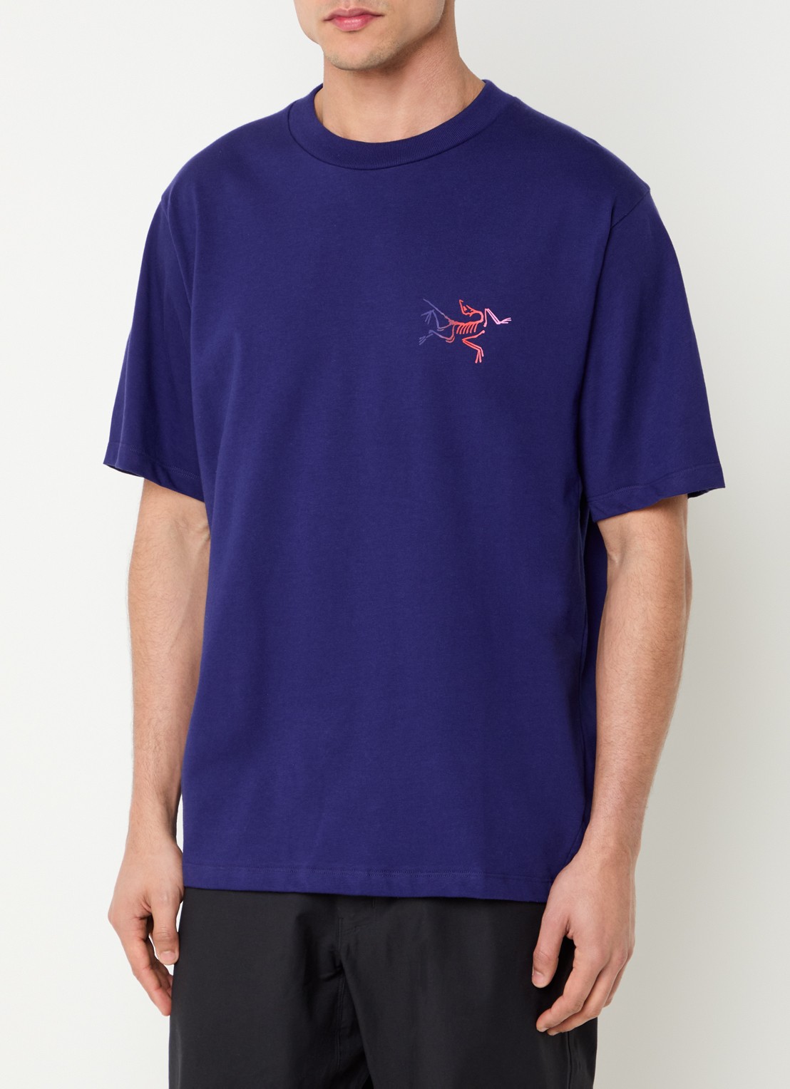 Arc'teryx Kragg T-shirt met logo- en backprint - achterkant 2 paars