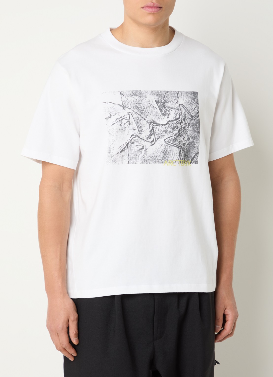 Arc'teryx Kragg T-shirt met print - detail wit