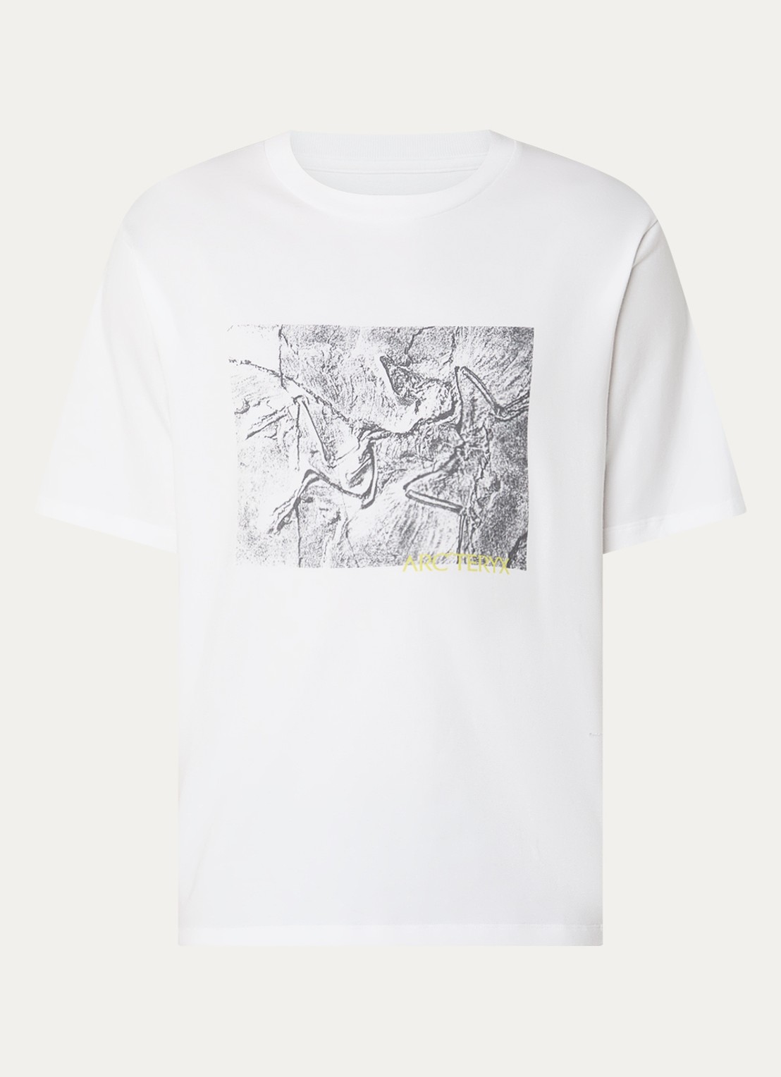 Arc'teryx Kragg T-shirt met print - voorkant 3 wit