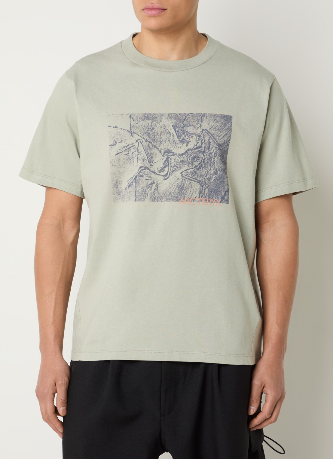 Arc'teryx Kragg T-shirt met print - detail lindegroen