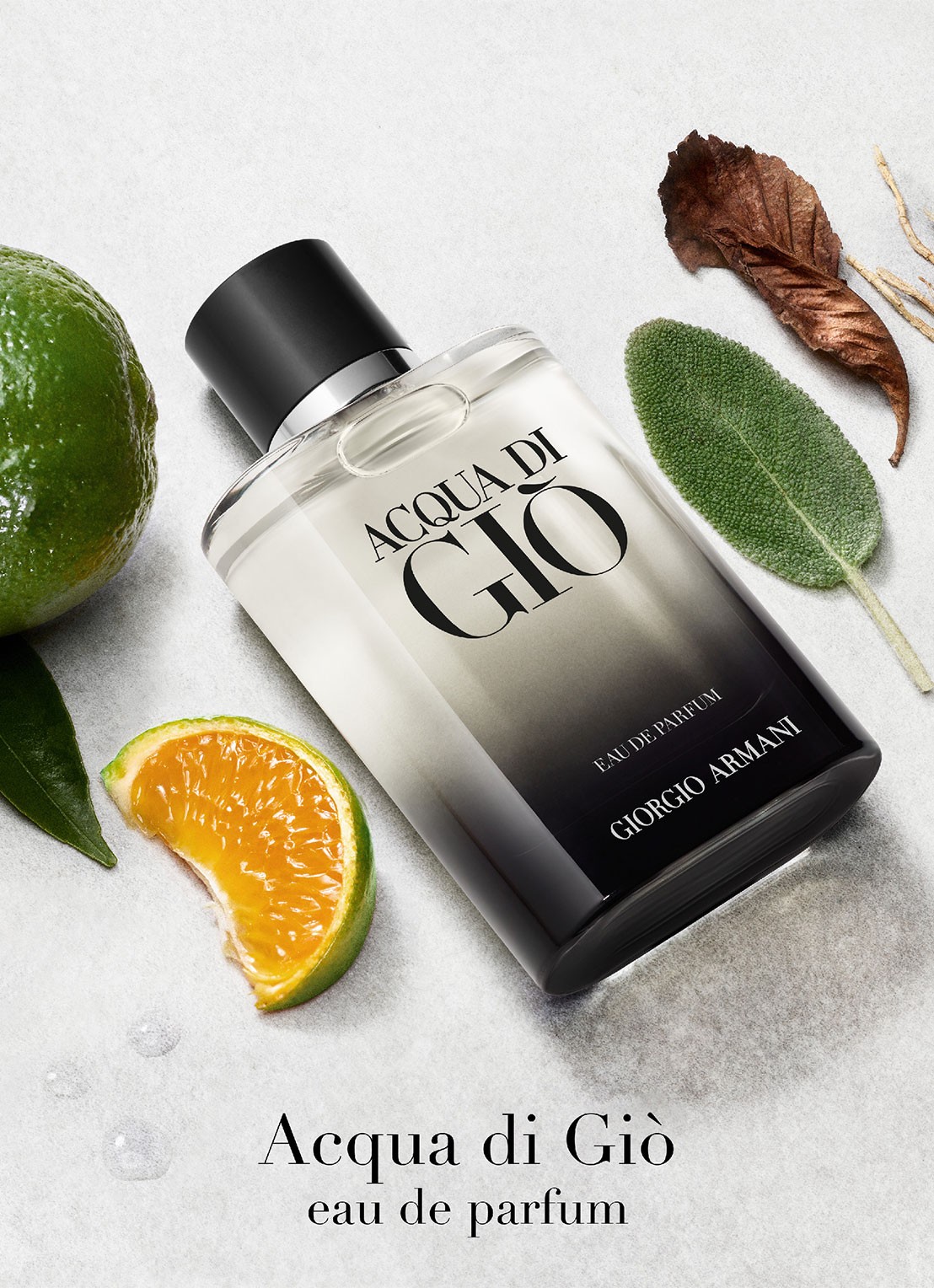 Armani Beauty Acqua di Giò Eau de Parfum - voorkant 2 undefined