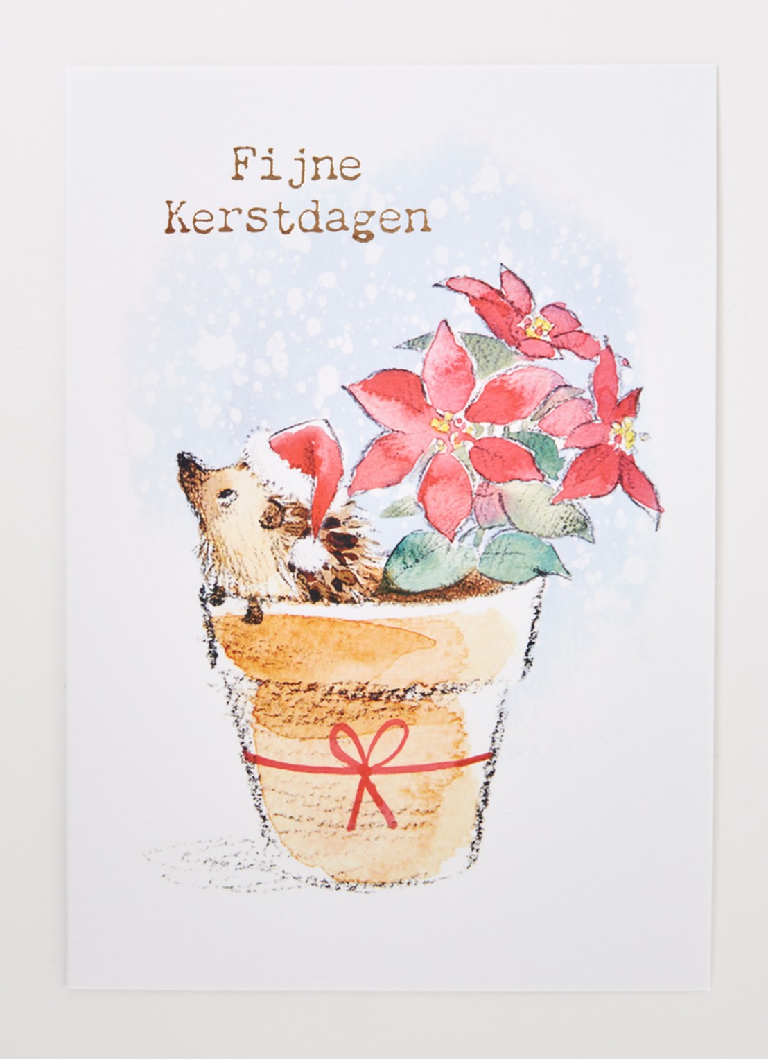 Art Group Egel - 1 design - kerstkaart met envelop - set van 10 - voorkant 2 rood