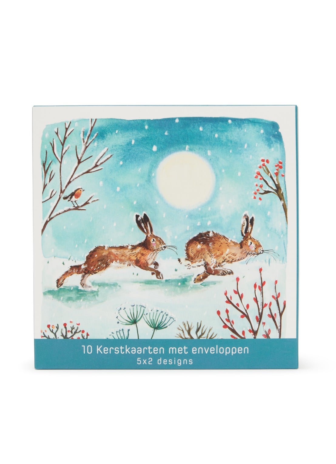 Art Group Goede Doelen kerstkaart - 2 designs - set van 10 inclusief enveloppen - voorkant turquoise