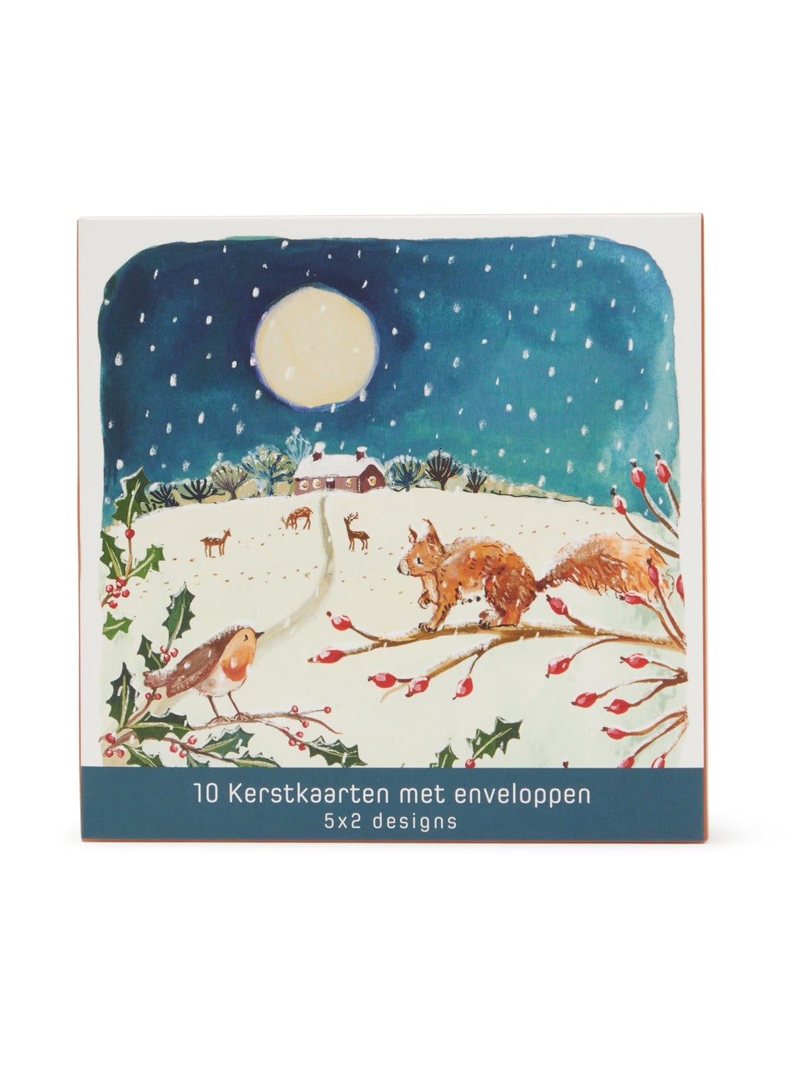 Art Group Goede Doelen kerstkaart - 2 designs - set van 10 inclusief enveloppen - voorkant donkerblauw
