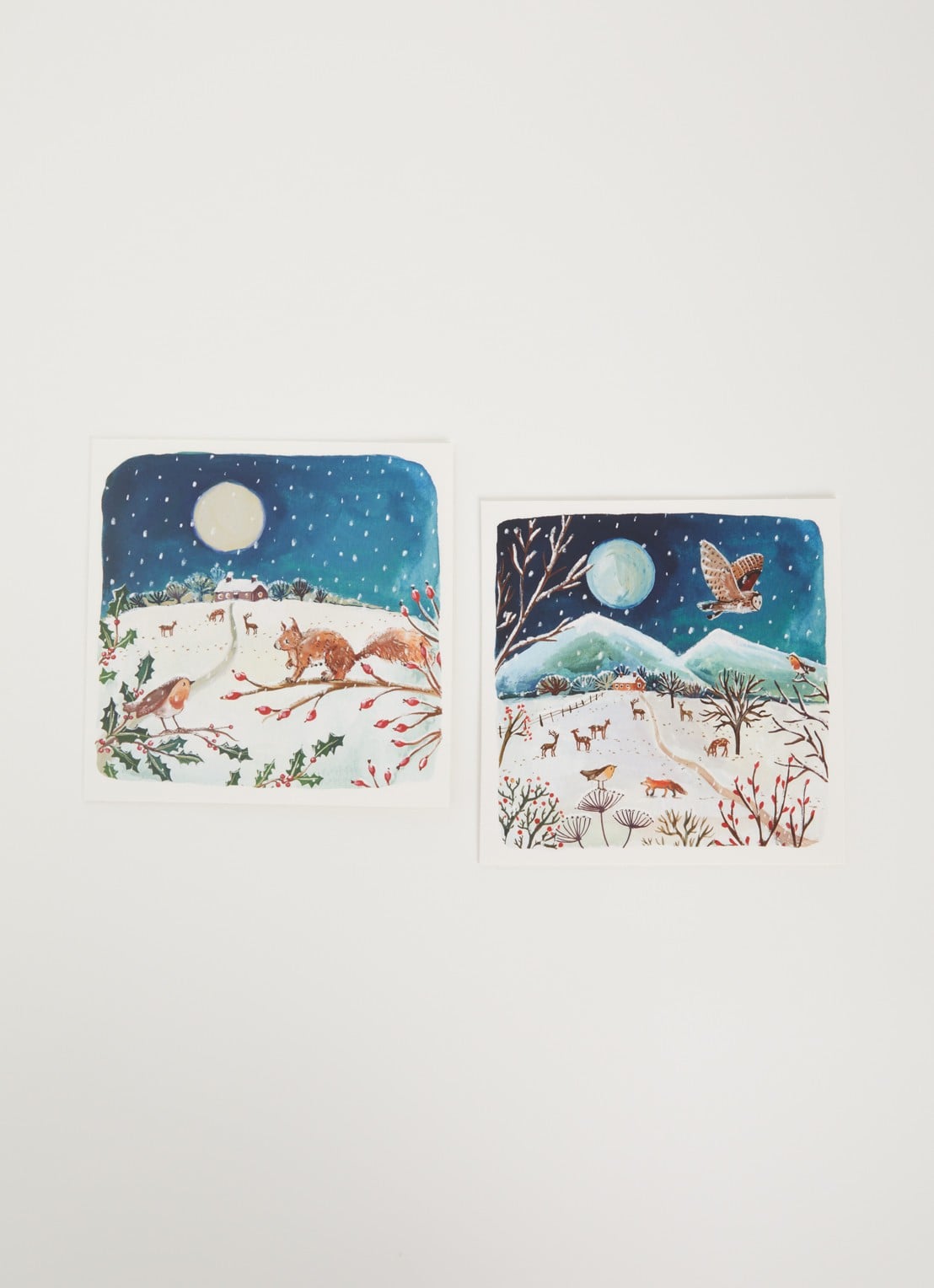Art Group Goede Doelen kerstkaart - 2 designs - set van 10 inclusief enveloppen - voorkant 2 donkerblauw