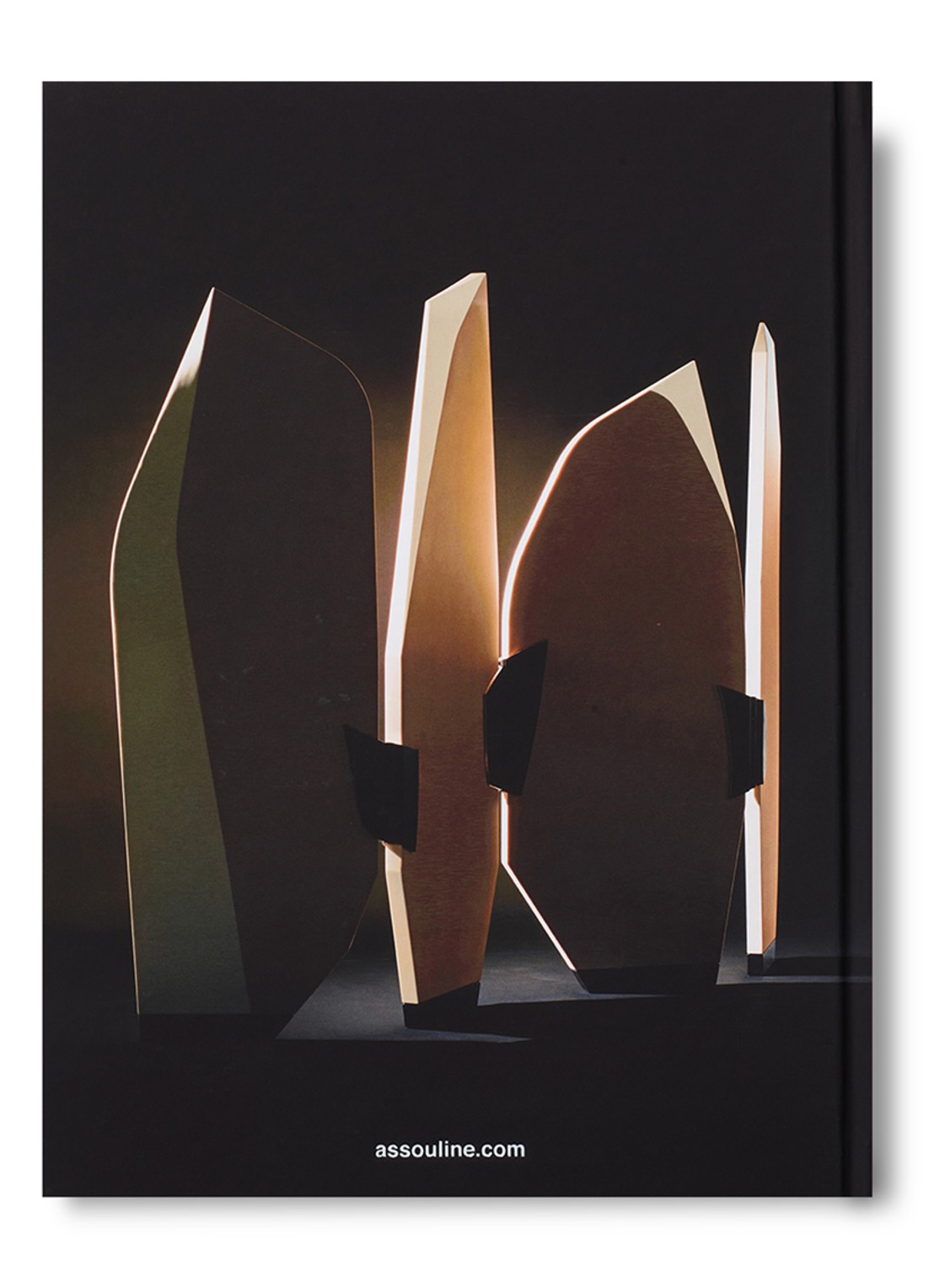 Assouline Achille - achterkant 6 multicolor