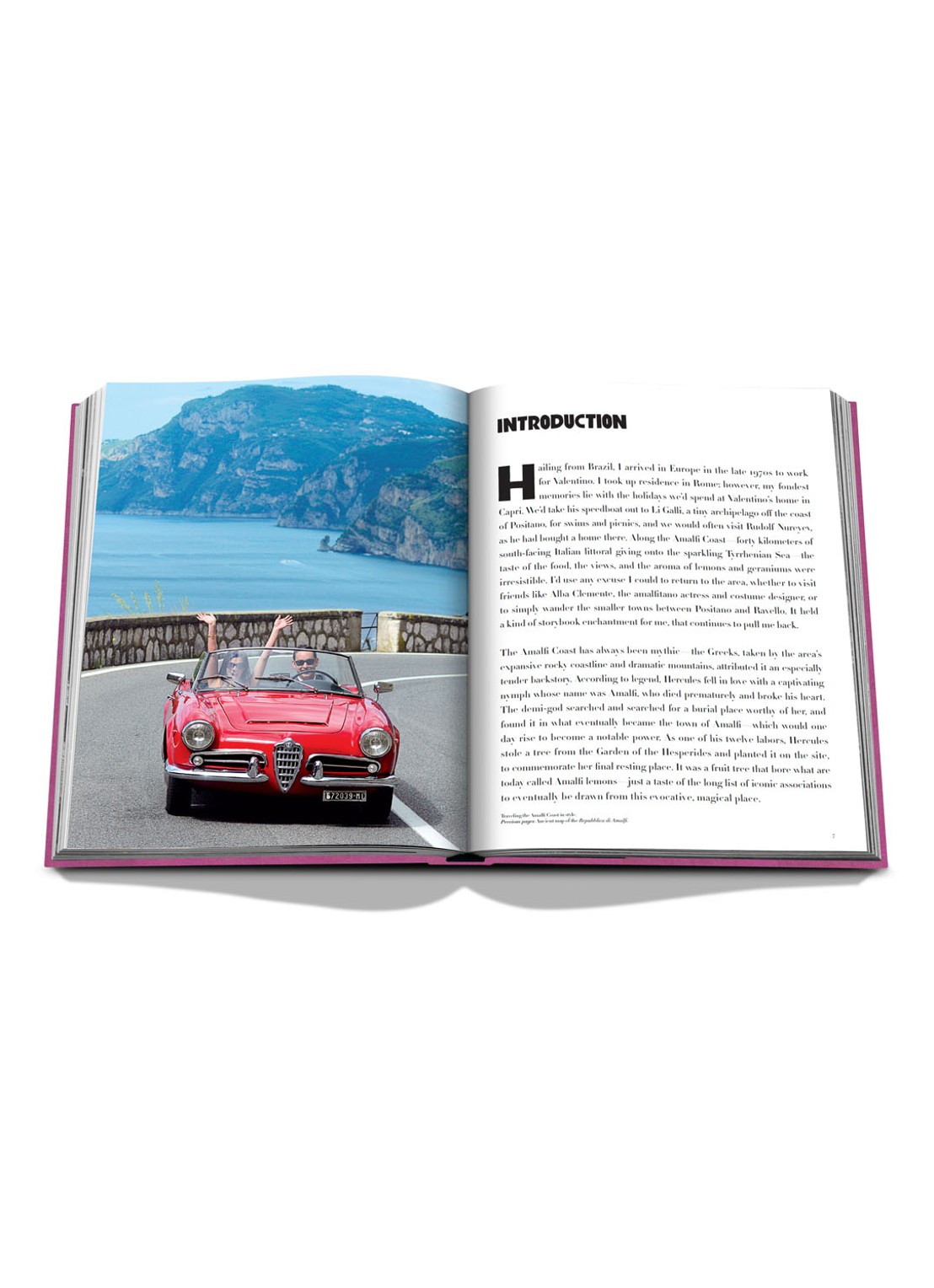 Assouline Amalfi Coast - detail 4 paars