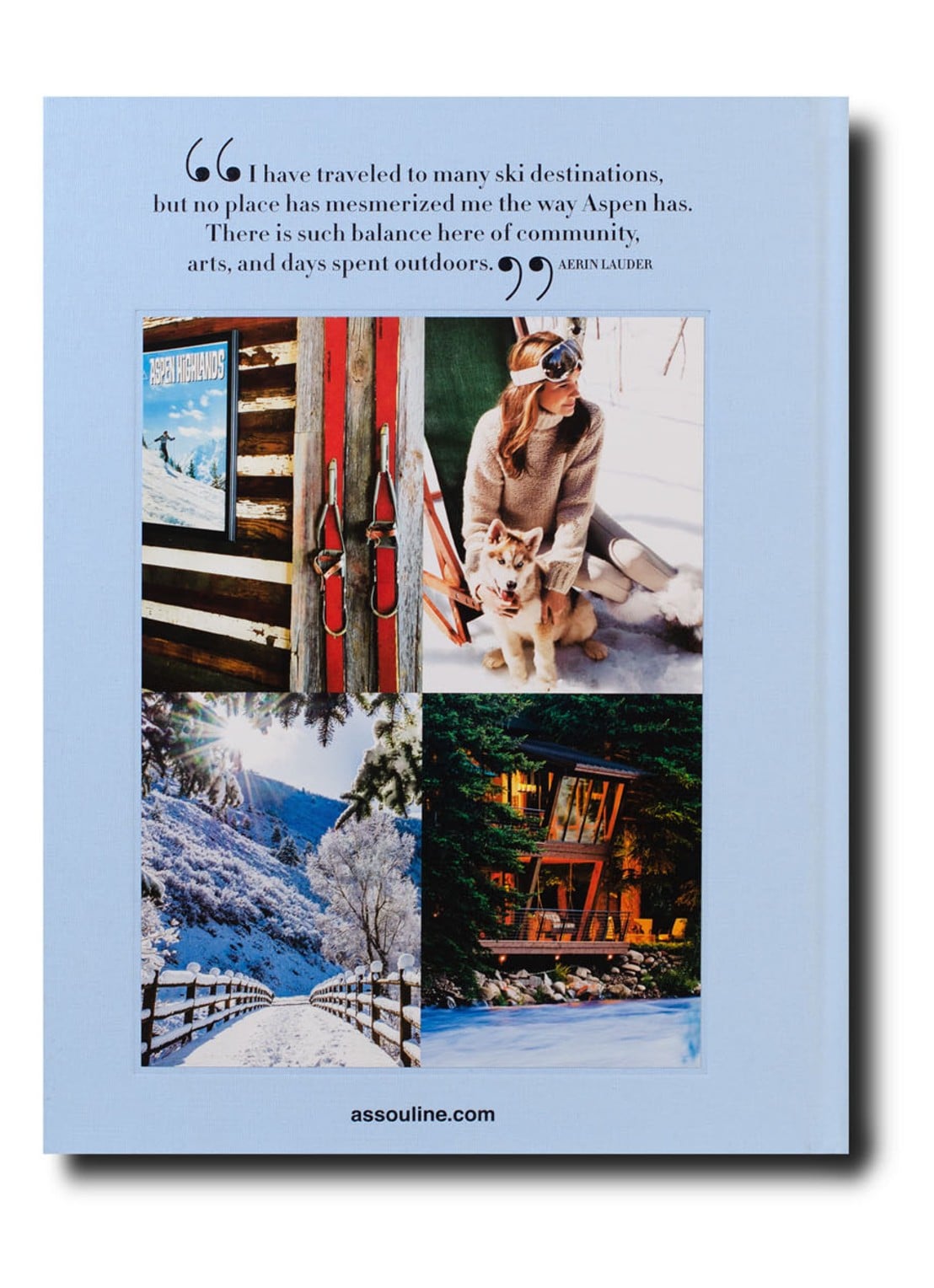 Assouline Aspen Style - detail 2 lichtblauw