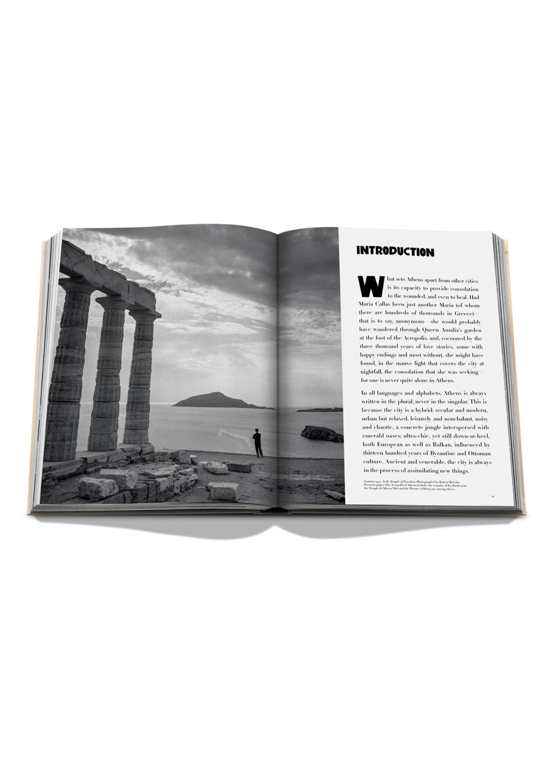 Assouline Athens Riviera - detail 2 beige