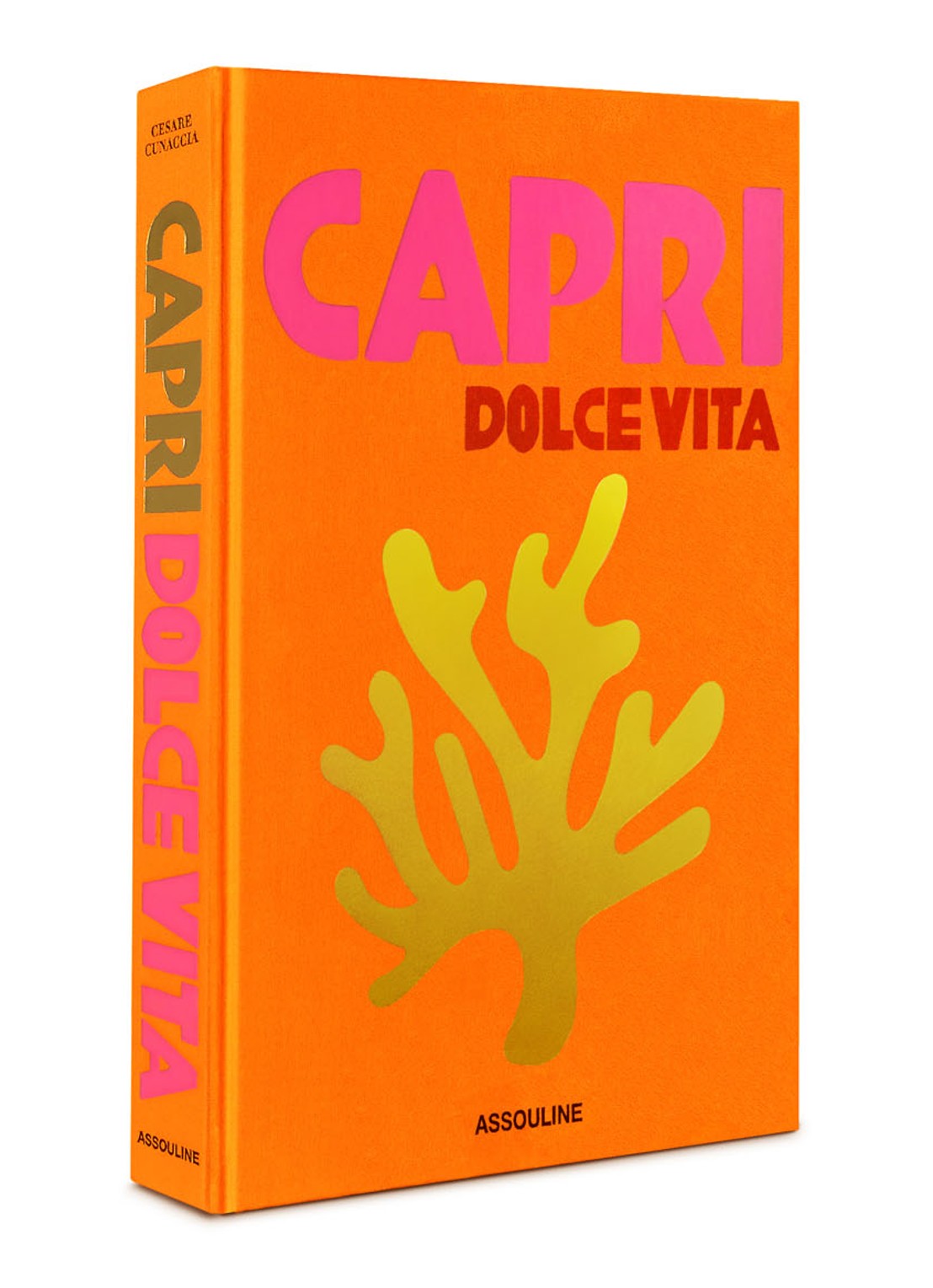 Assouline Capri Dolce Vita - detail 4 neonoranje