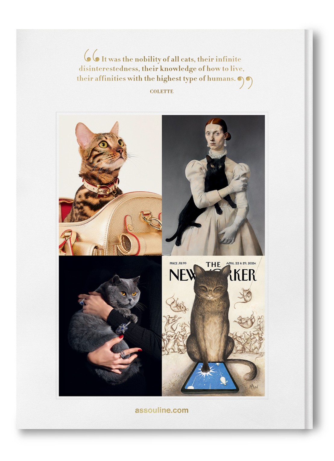 Assouline Chic Cats - achterkant multicolor