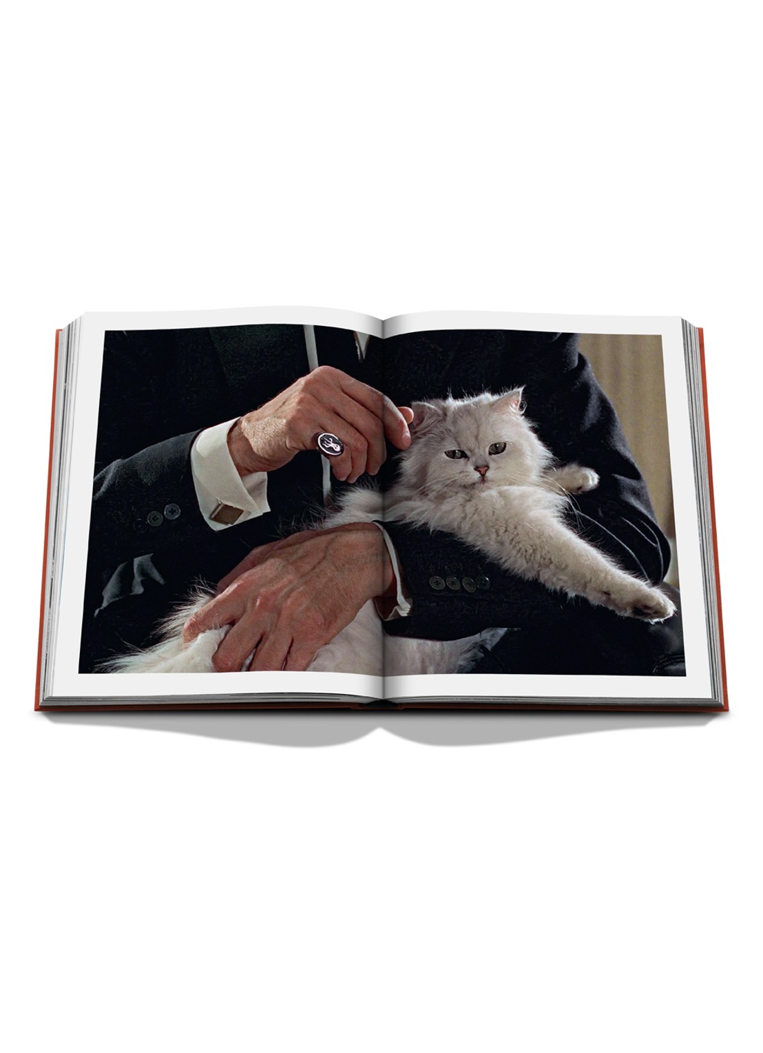 Assouline Chic Cats - detail 4 multicolor