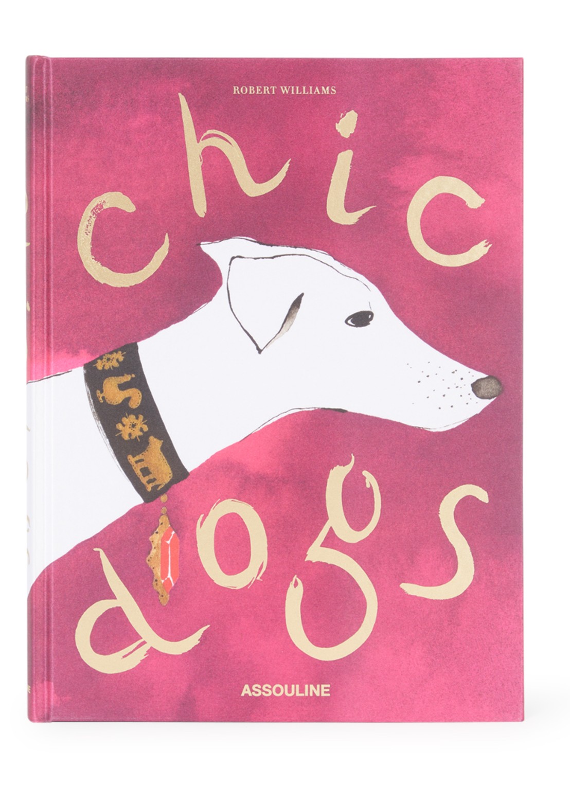 Assouline Chic Dogs - voorkant multicolor