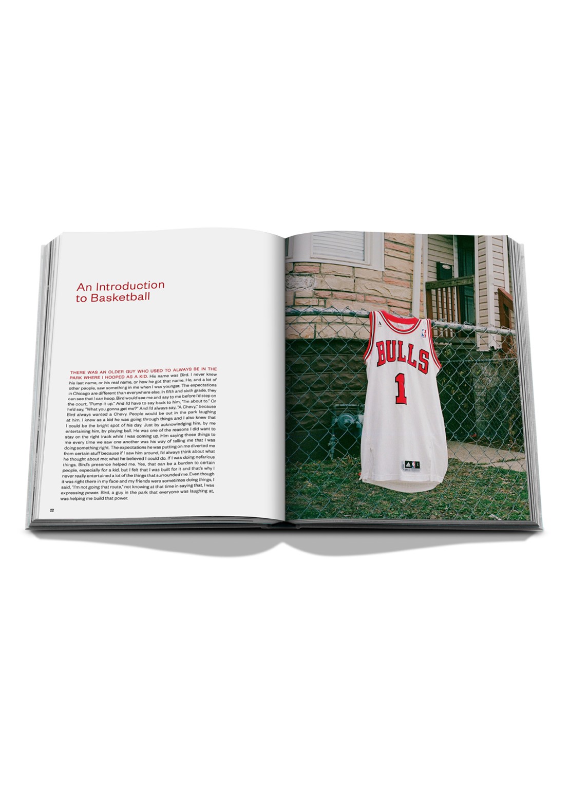 Assouline Derrick Rose: The Poohprint - detail 4 multicolor